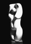 Immagine 81.jpg (13kb)